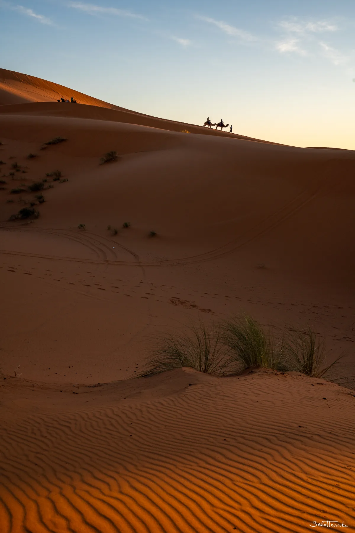 Erg Chebbi