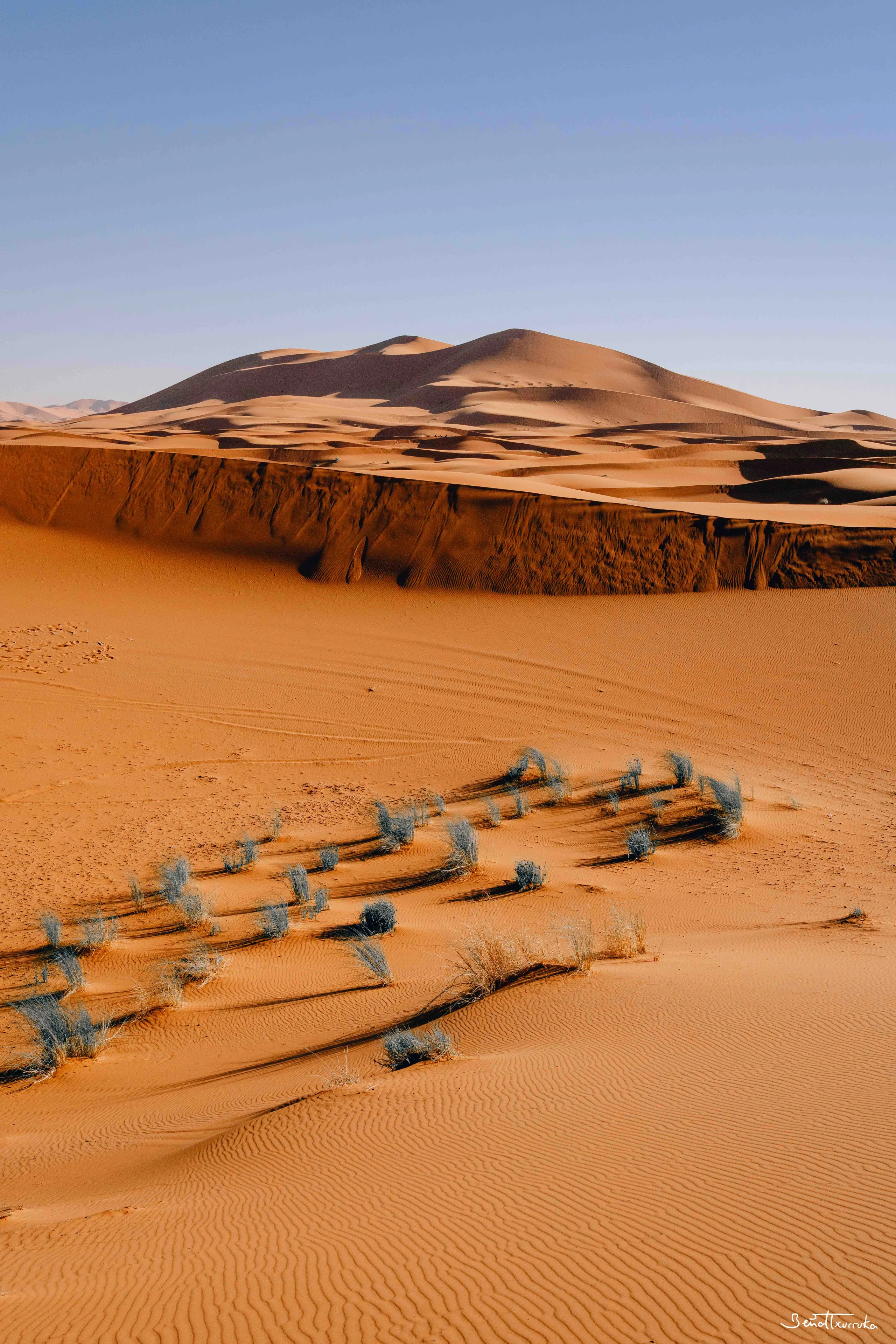 Erg Chebbi