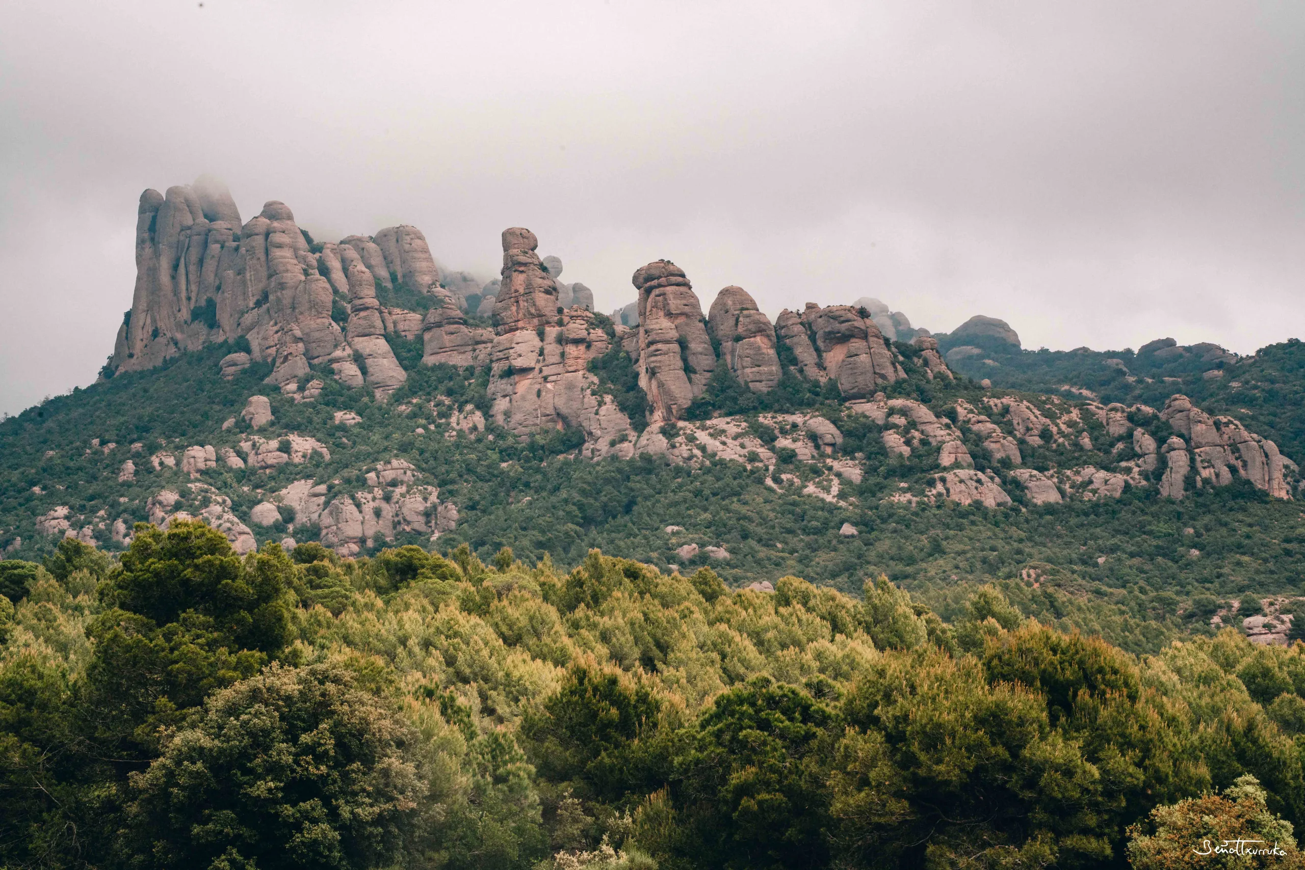 Agulles de Montserrat