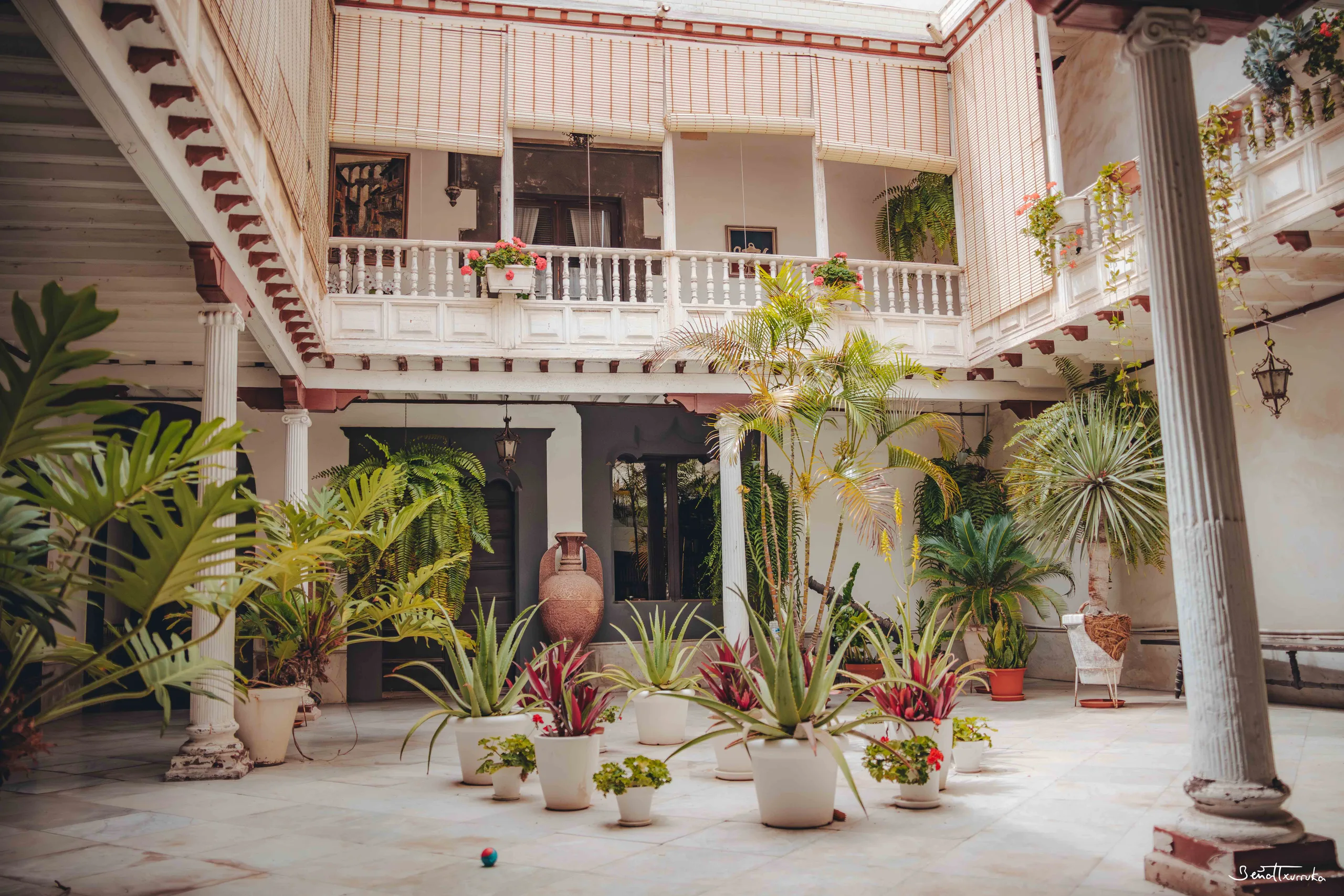 Patio canario