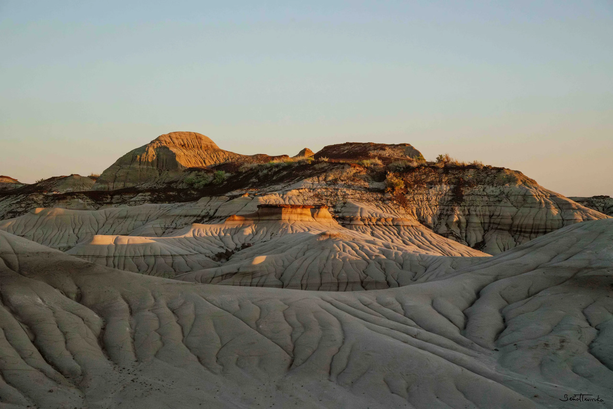 Dinosaurs Provincial Park
