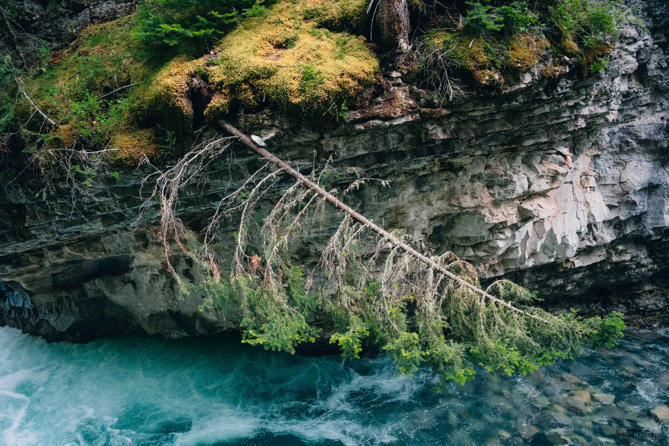 Johnston canyon
