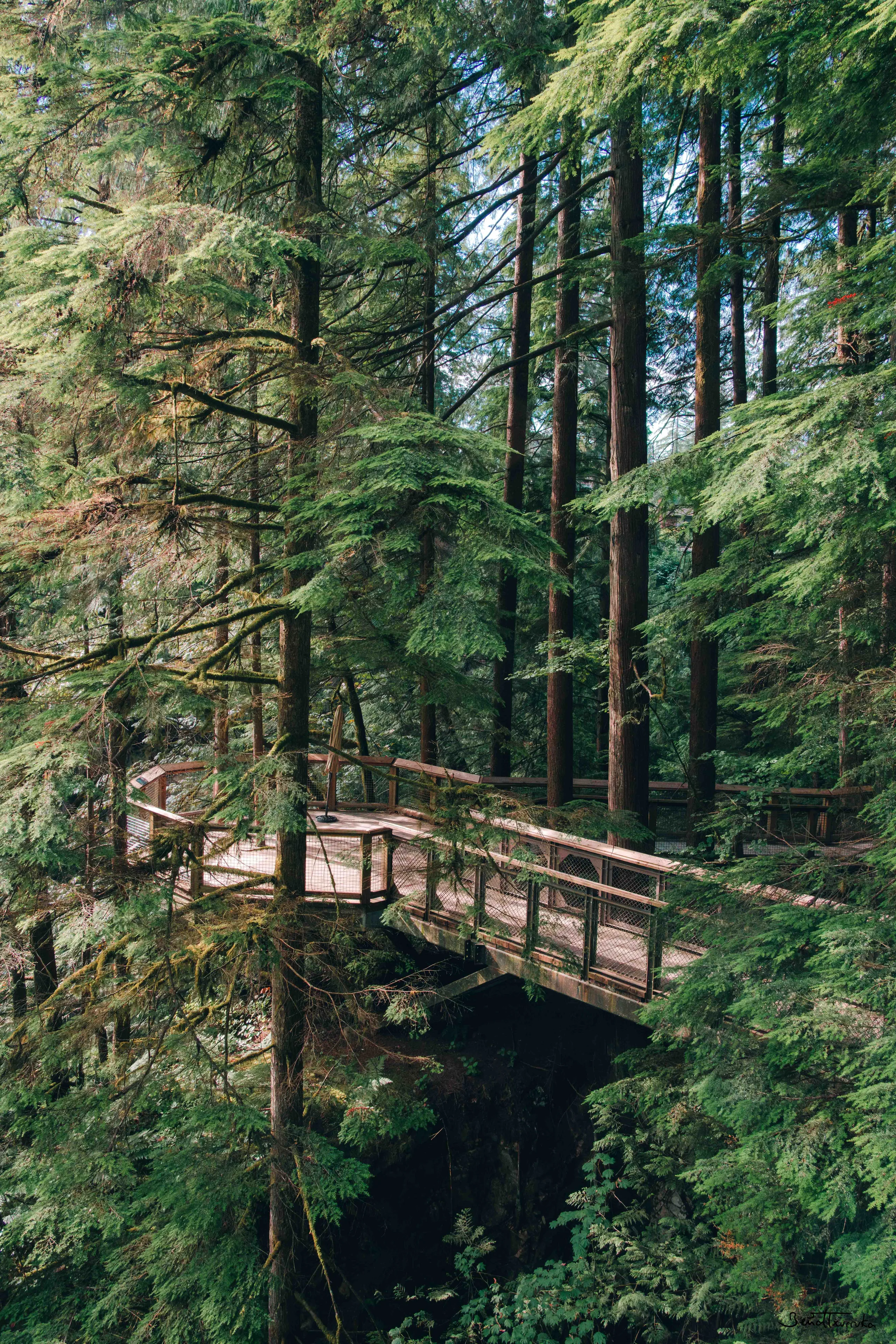 Capilano