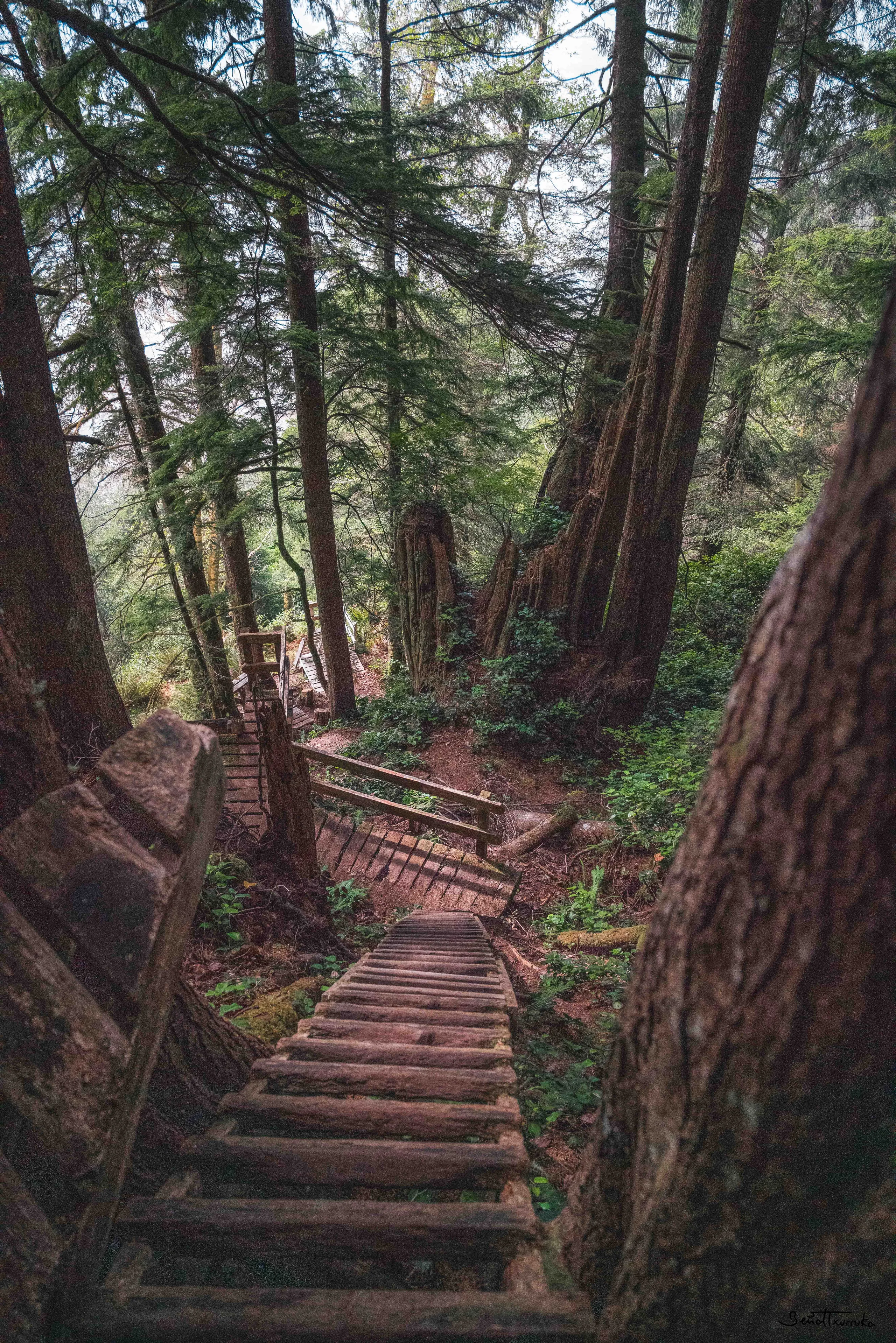 West Coast Trail