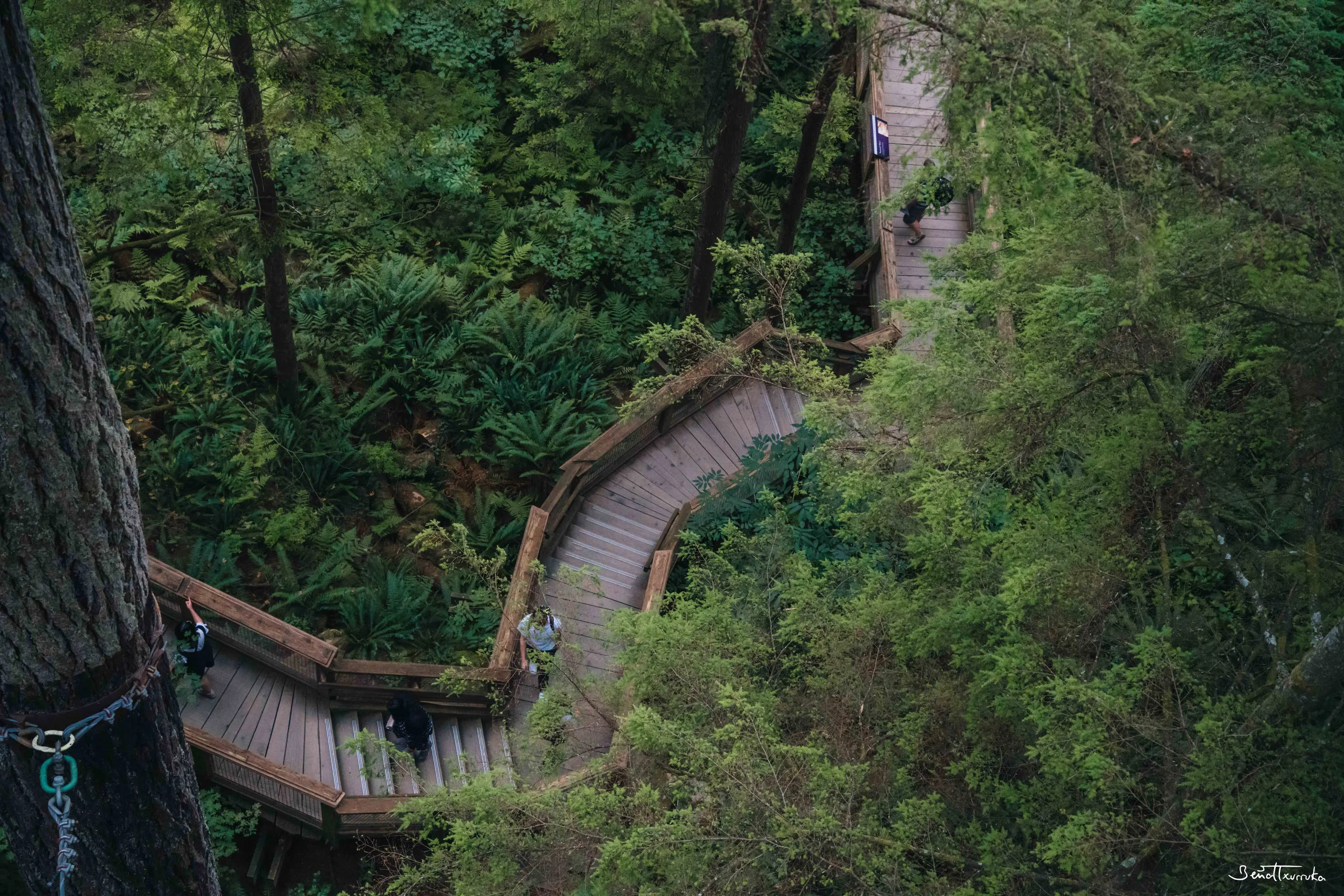 Capilano