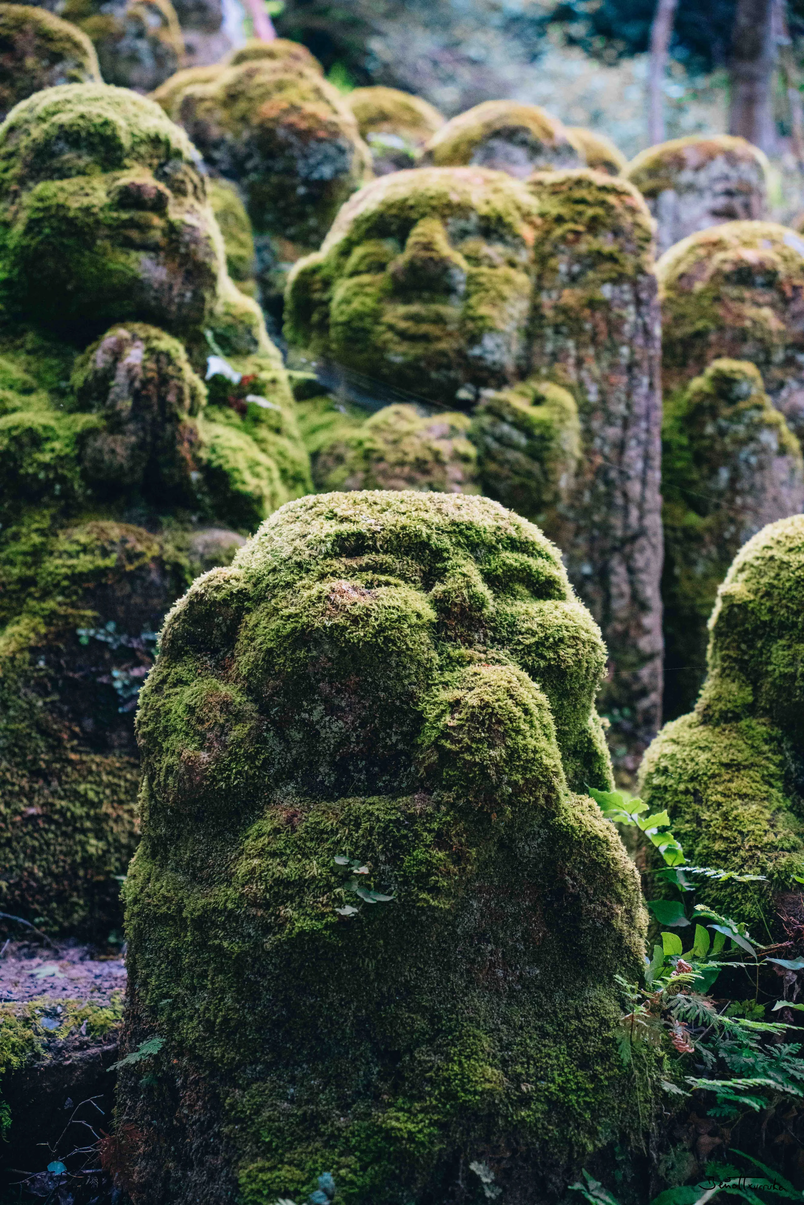 Otagi Nenbutsuji