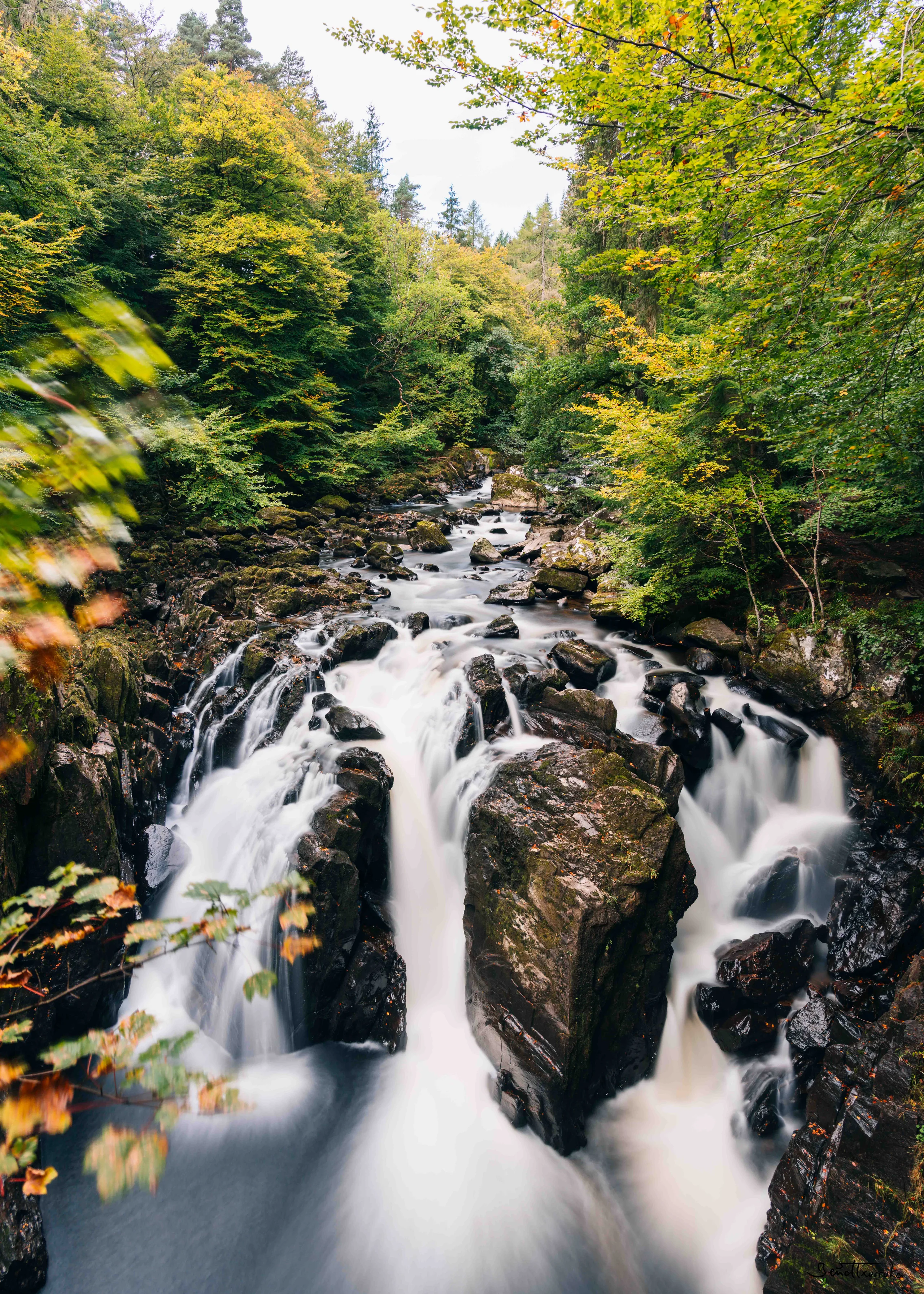 Hermitage falls