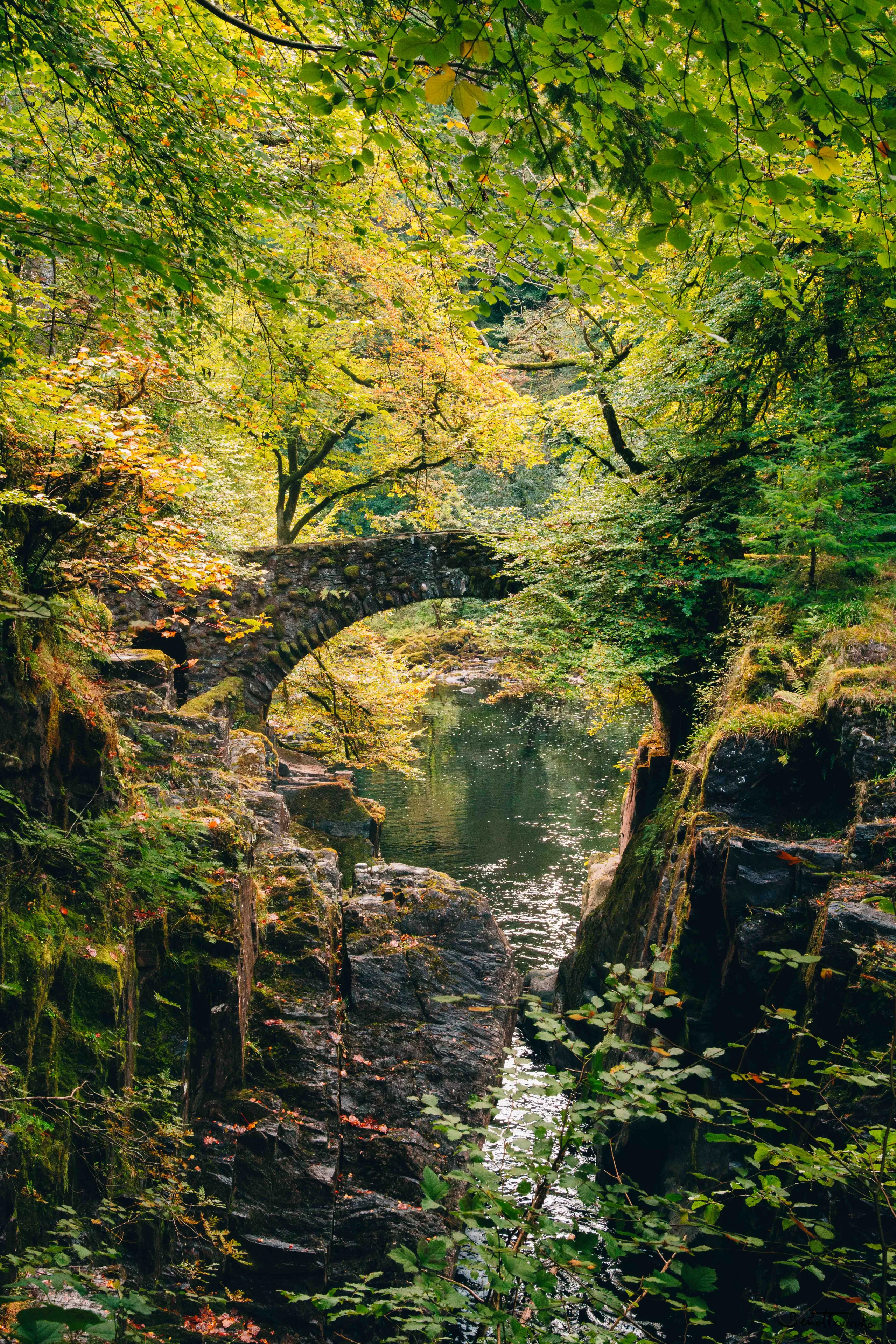 Hermitage bridge