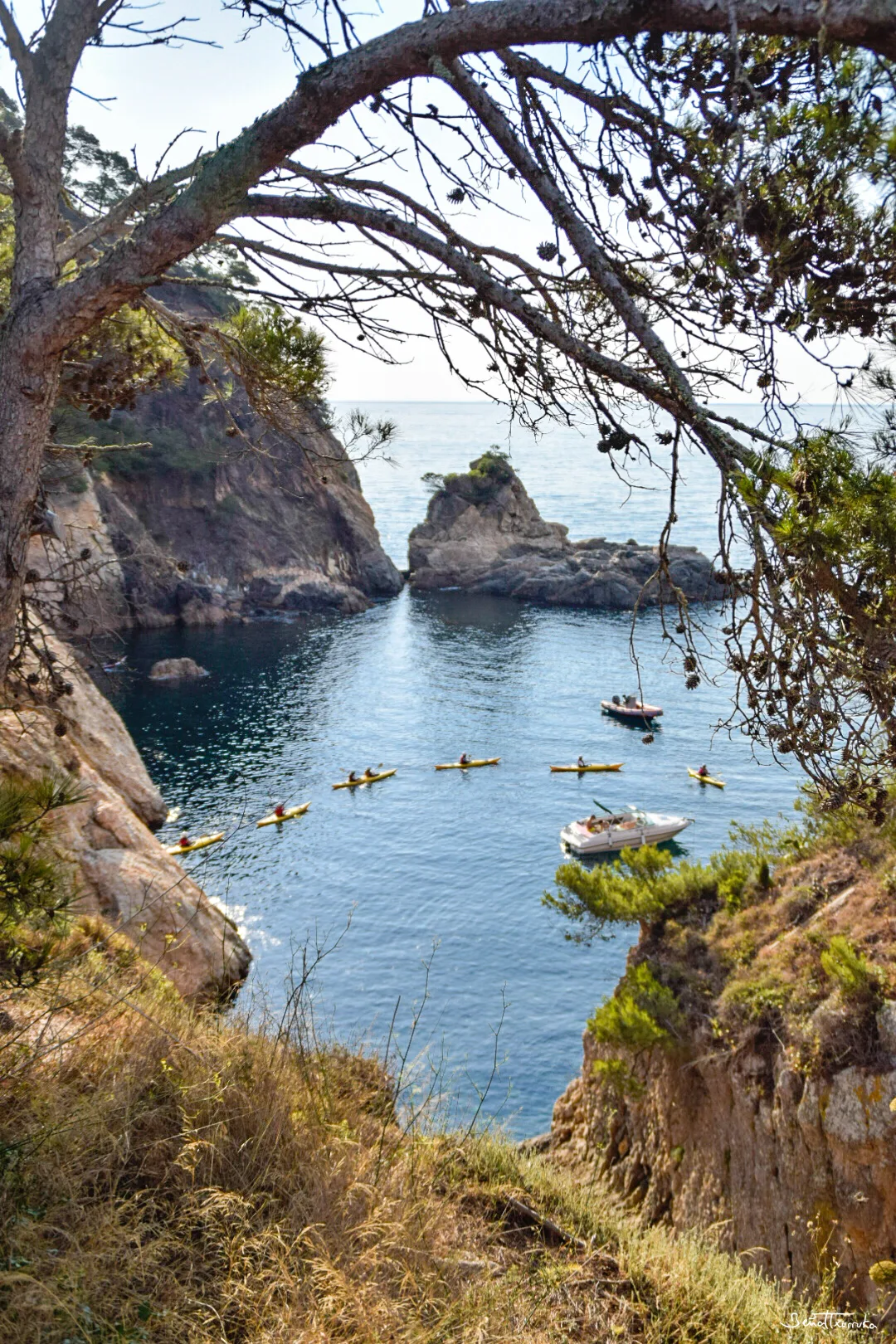 Catalunya