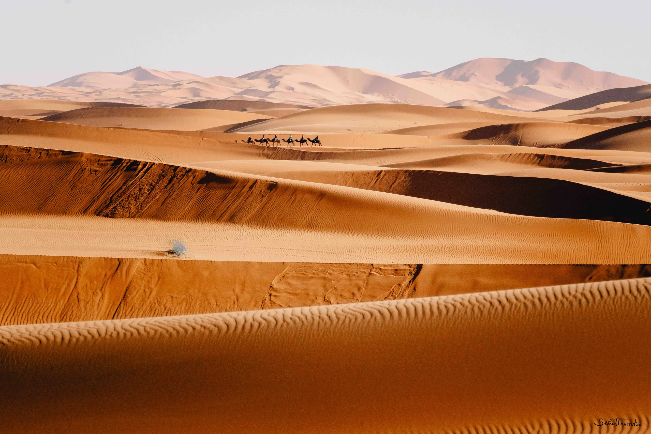 Desierto del Sahara